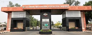 Chaudhary Charan Singh Haryana Agricultural University Admissions 2024